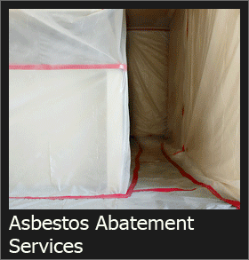 Asbestos, Mold and Lead Paint Removal Contractor